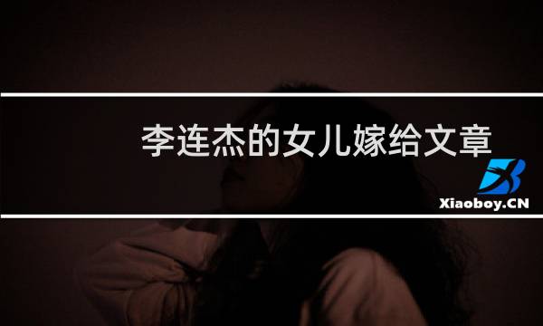 李连杰的女儿嫁给文章了吗（文章是李连杰的儿子吗什么关系）图片