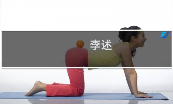 李述(关于李述的简介)