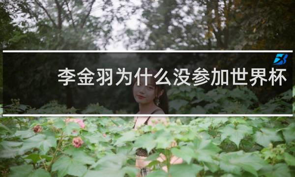 李金羽为什么没参加世界杯