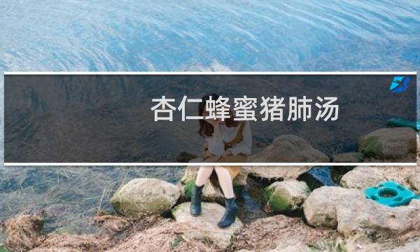 杏仁蜂蜜猪肺汤(关于杏仁蜂蜜猪肺汤的简介)图片