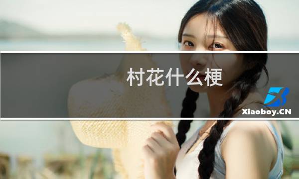 村花什么梗
