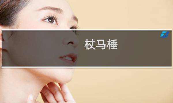 杖马棰(关于杖马棰的简介)
