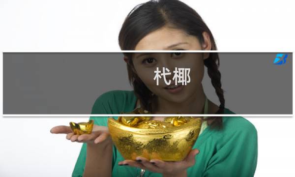 杙椰(关于杙椰的简介)