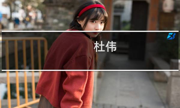 杜伟(关于杜伟的简介)图片
