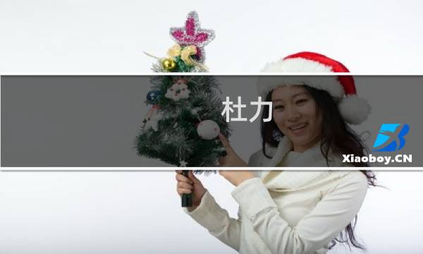 杜力(关于杜力的简介)图片