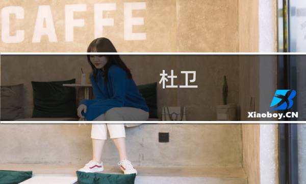 杜卫(关于杜卫的简介)