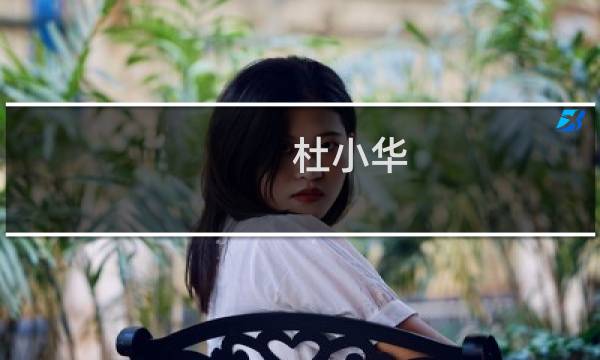 杜小华(关于杜小华的简介)