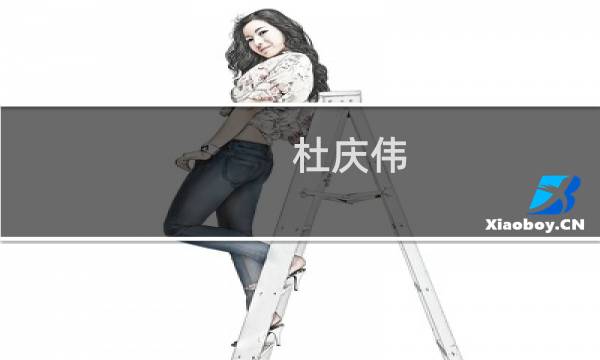 杜庆伟(关于杜庆伟的简介)