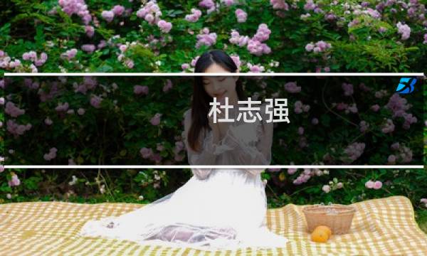杜志强(关于杜志强的简介)图片