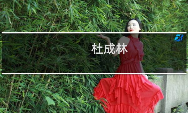 杜成林(关于杜成林的简介)