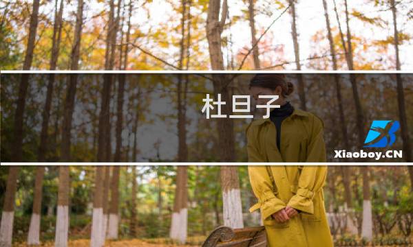 杜旦子(关于杜旦子的简介)