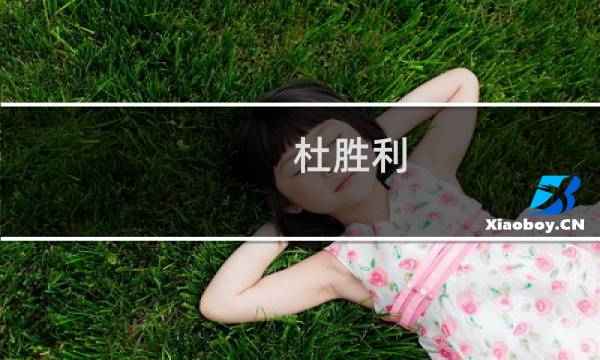 杜胜利(关于杜胜利的简介)
