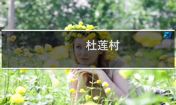 杜莲村(关于杜莲村的简介)