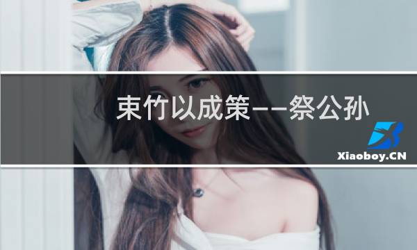束竹以成策——祭公孙策(关于束竹以成策——祭公孙策的简介)图片