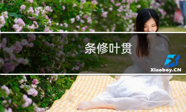 条修叶贯(关于条修叶贯的简介)图片