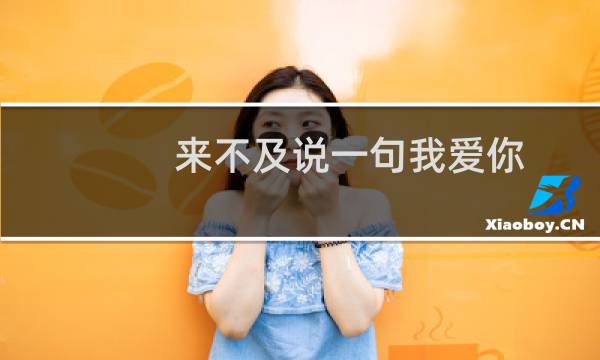 来不及说一句我爱你(关于来不及说一句我爱你的简介)