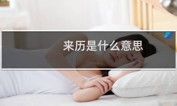 来历是什么意思