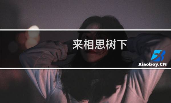 来相思树下(关于来相思树下的简介)