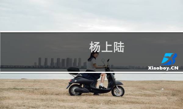杨上陆(关于杨上陆的简介)