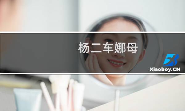 杨二车娜母图片