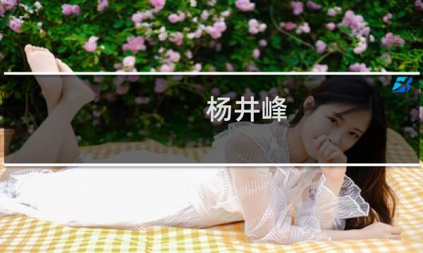 杨井峰(关于杨井峰的简介)