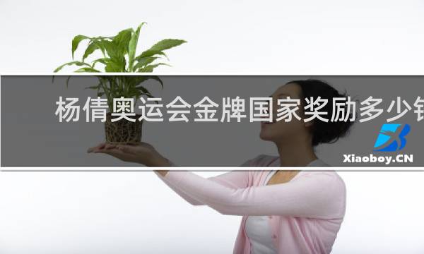 杨倩奥运会金牌国家奖励多少钱