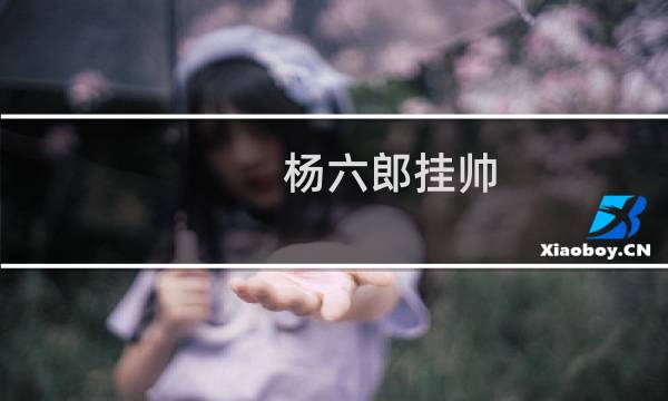 杨六郎挂帅(关于杨六郎挂帅的简介)图片