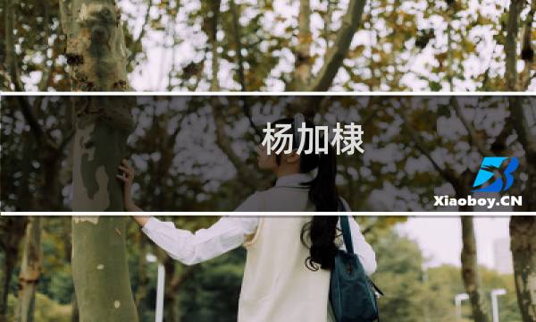 杨加棣(关于杨加棣的简介)