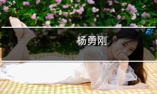 杨勇刚(关于杨勇刚的简介)