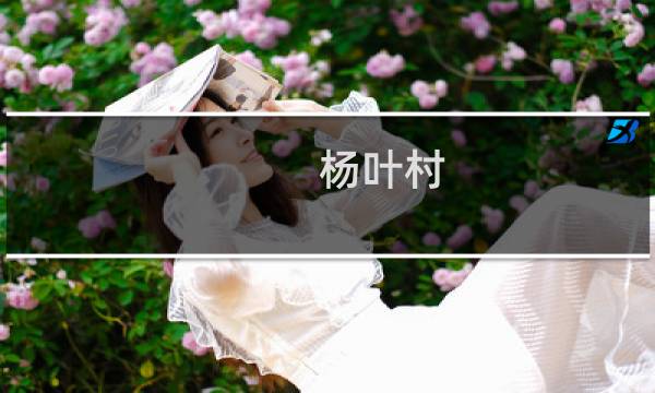 杨叶村(关于杨叶村的简介)图片