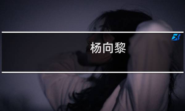 杨向黎(关于杨向黎的简介)