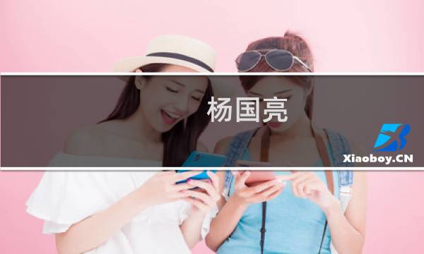 杨国亮(关于杨国亮的简介)