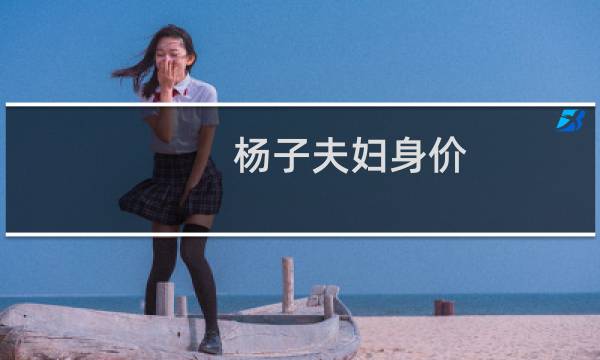 杨子夫妇身价（杨子夫妇是谁）