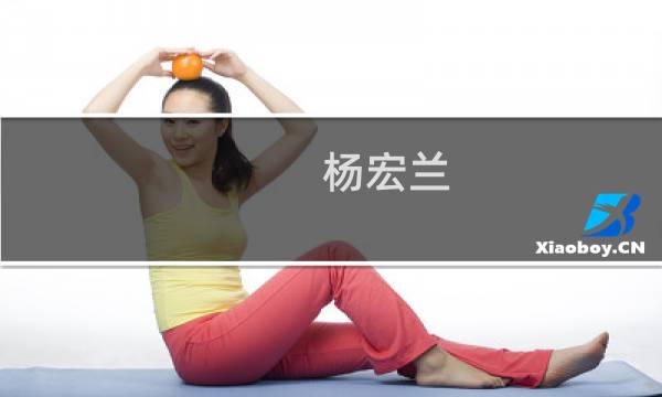 杨宏兰(关于杨宏兰的简介)