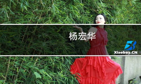 杨宏华(关于杨宏华的简介)图片