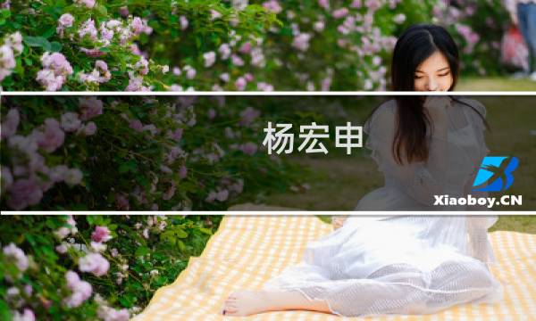 杨宏申(关于杨宏申的简介)图片