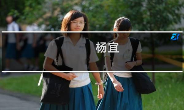 杨宜(关于杨宜的简介)图片