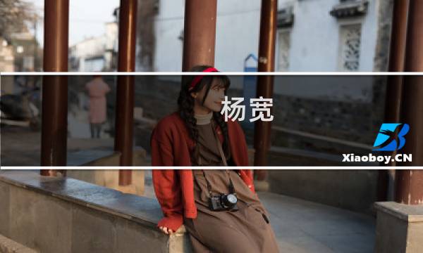 杨宽(关于杨宽的简介)