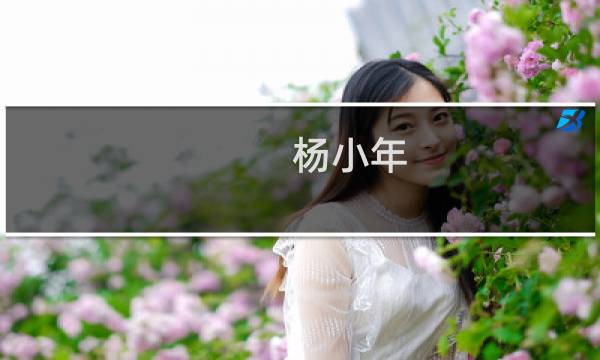 杨小年(关于杨小年的简介)