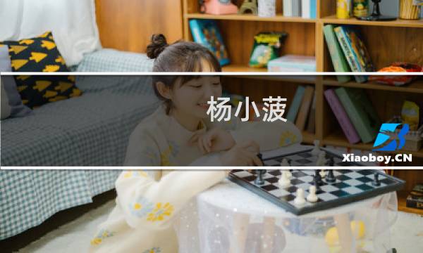 杨小菠(关于杨小菠的简介)