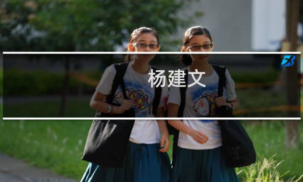 杨建文(关于杨建文的简介)图片