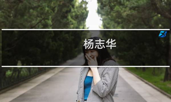 杨志华(关于杨志华的简介)