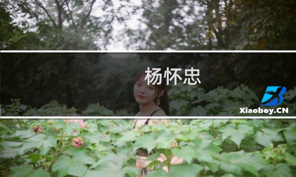 杨怀忠(关于杨怀忠的简介)