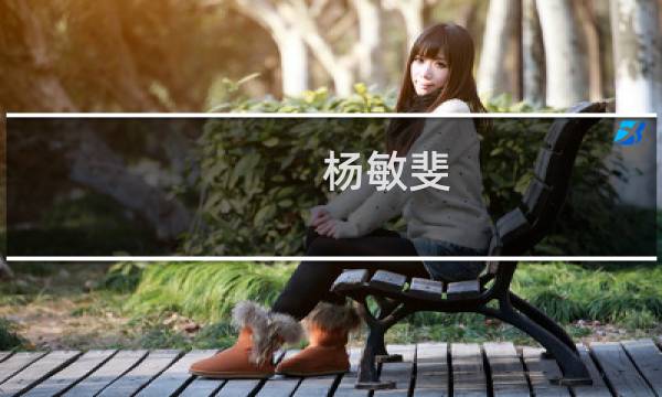 杨敏斐(关于杨敏斐的简介)