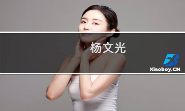 杨文光(关于杨文光的简介)