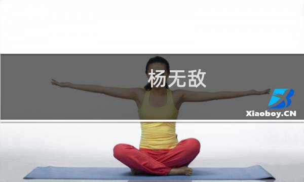 杨无敌(关于杨无敌的简介)