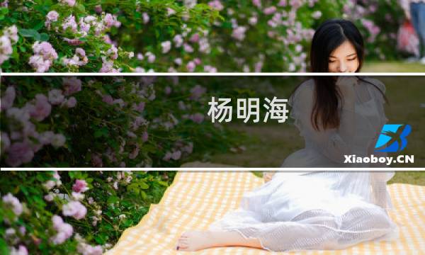 杨明海(关于杨明海的简介)