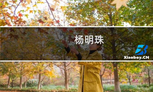 杨明珠(关于杨明珠的简介)