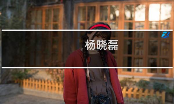 杨晓磊(关于杨晓磊的简介)图片