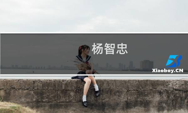 杨智忠(关于杨智忠的简介)